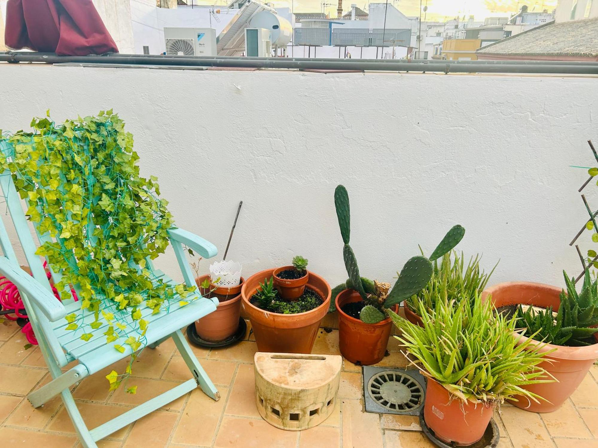 La Azotea Del Sol Lejlighed Sevilla Eksteriør billede