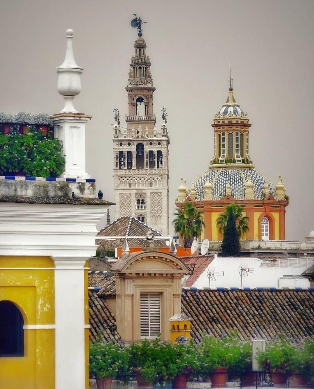 La Azotea Del Sol Lejlighed Sevilla Eksteriør billede
